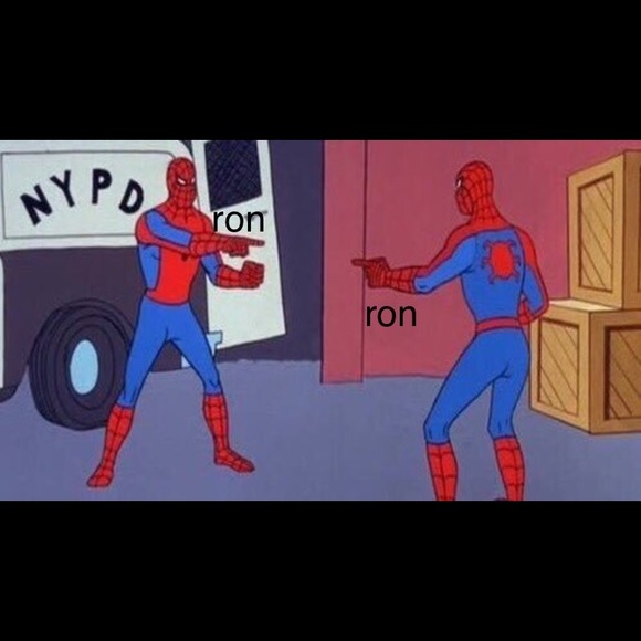 Meet your Posher, Veronica - Picture 1 of 1